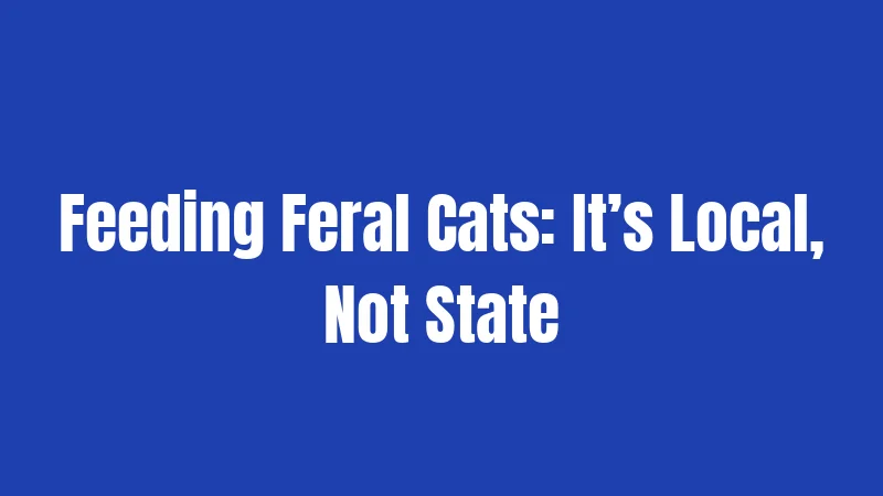 Feeding Feral Cats: It’s Local, Not State