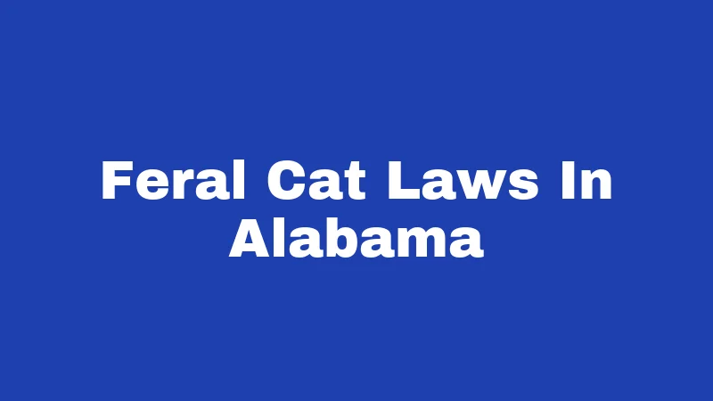 Feral Cat Laws in Alabama (2026): Rules Every Resident Should Know 401 Feral Cat Laws In Alabama