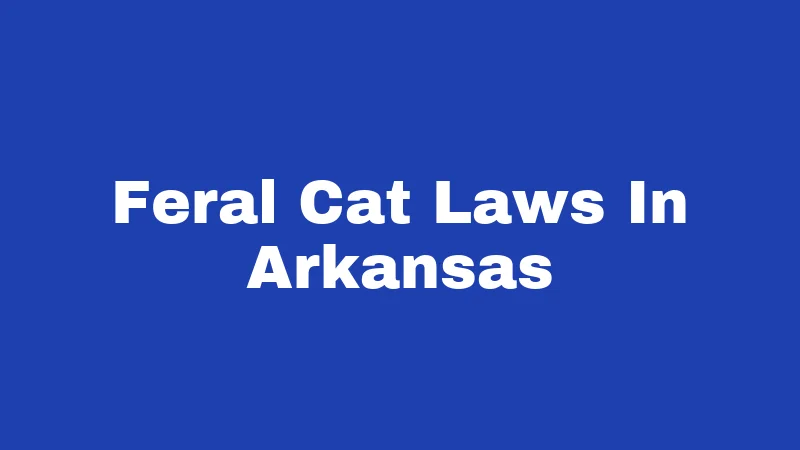 Feral Cat Laws in Arkansas (2026): Rules Every Cat Caretaker Must Know 191 Feral Cat Laws In Arkansas