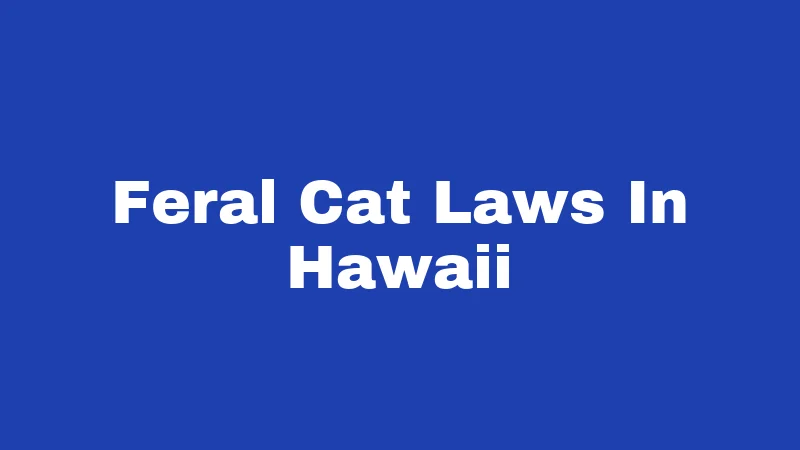 Feral Cat Laws In Hawaii