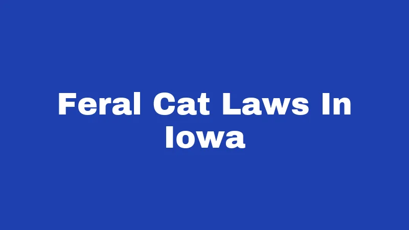Feral Cat Laws in Iowa (2026): Rules Every Resident Should Know 212 Feral Cat Laws In Iowa
