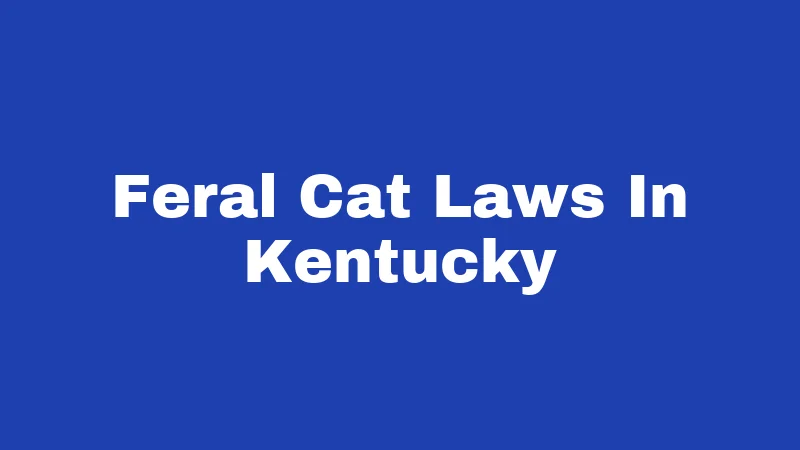 Feral Cat Laws In Kentucky