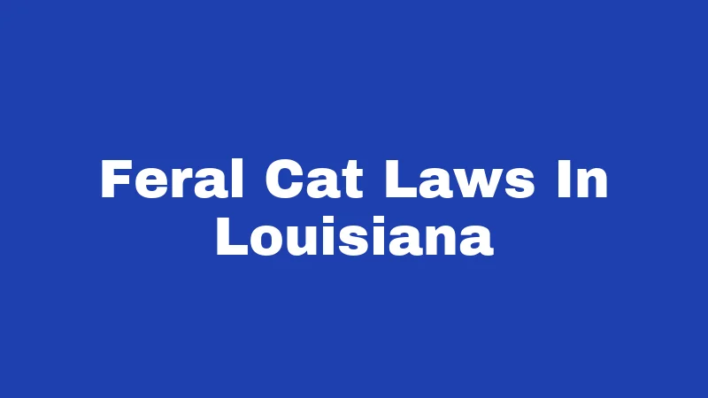 Feral Cat Laws In Louisiana
