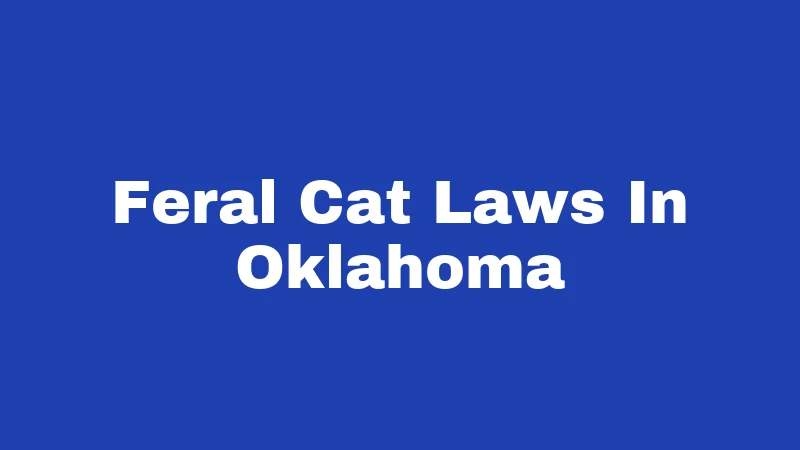 Feral Cat Laws in Oklahoma (2026): Rules Every Resident Should Know 300 Feral Cat Laws In Oklahoma