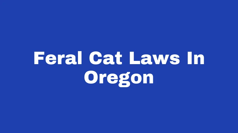 Feral Cat Laws In Oregon