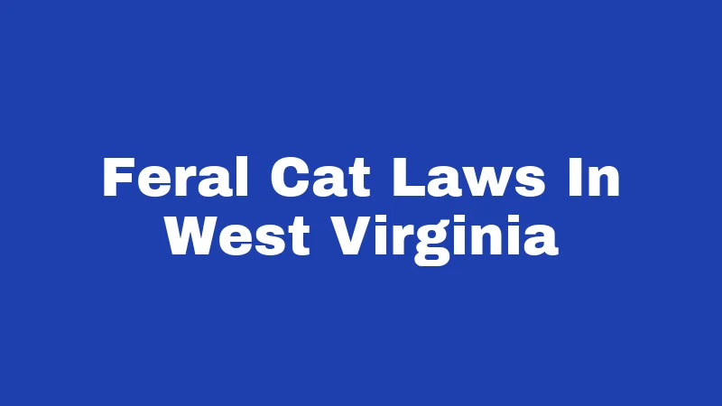 Feral Cat Laws In West Virginia