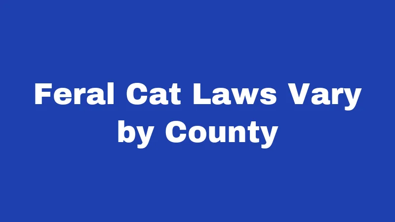 Feral Cat Laws Vary by County