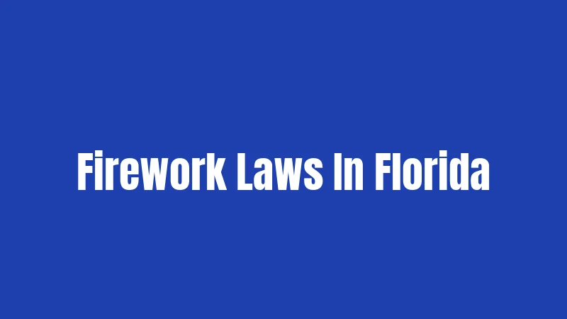 Firework Laws In Florida