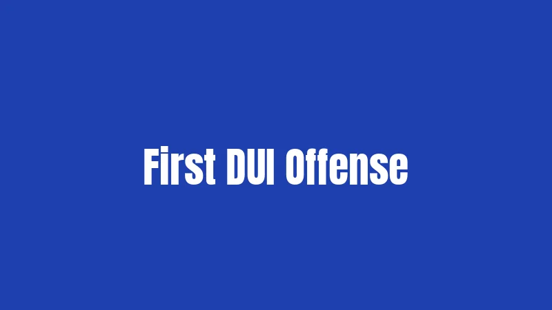 DUI Laws in Georgia (2026): Penalties Hit Hard 2 First DUI Offense