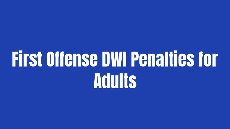 First Offense DWI Penalties for Adults