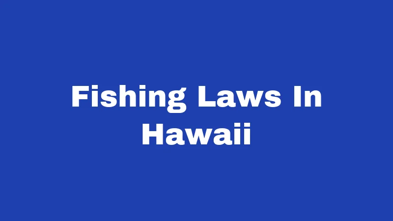 Fishing Laws In Hawaii