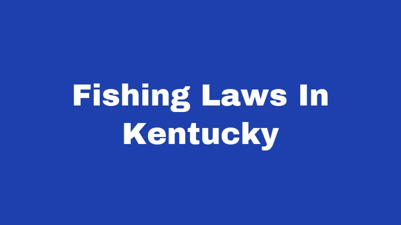 Fishing Laws In Kentucky