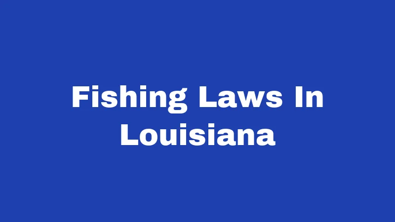 Fishing Laws in Louisiana (2026): Don't Get Caught Off Guard 407 Fishing Laws In Louisiana