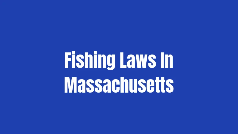 Fishing Laws In Massachusetts