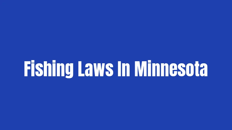 Fishing Laws In Minnesota