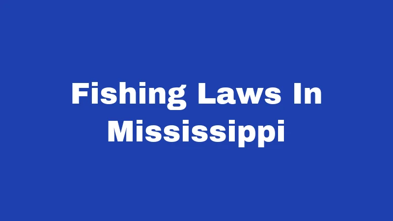 Fishing Laws in Mississippi (2026): Rules Every Angler Must Know 90 Fishing Laws In Mississippi