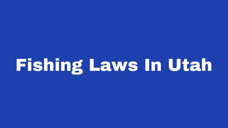Fishing Laws in Utah (2026): Rules Every Angler Must Know 246 Fishing Laws In Utah