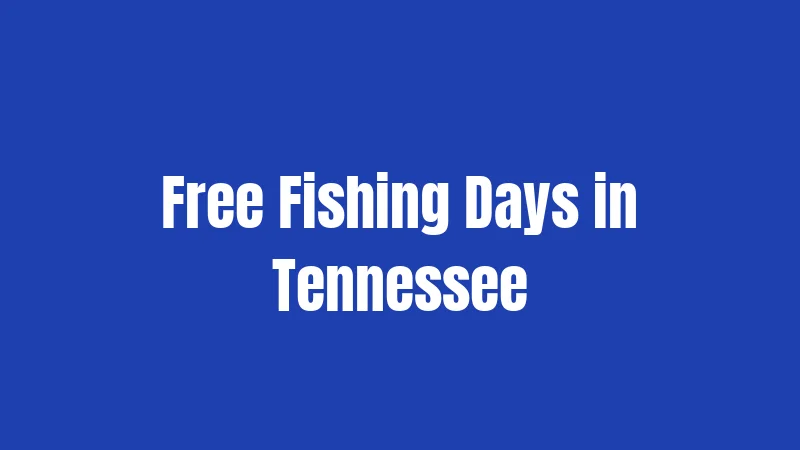 Free Fishing Days in Tennessee