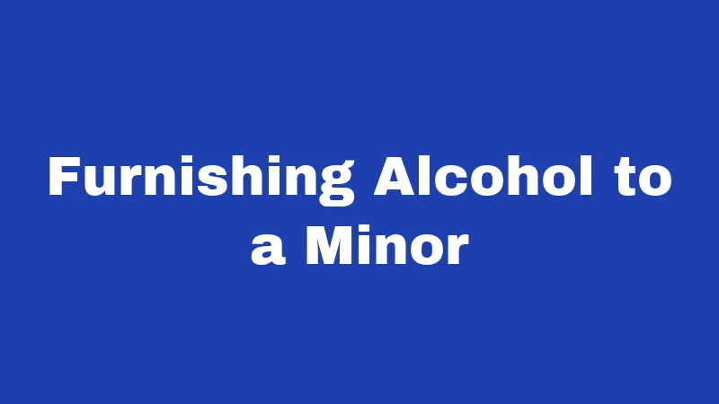 Minor Drinking Laws in Idaho (2026): The Rules Teens Wish They Knew Sooner 2 Furnishing Alcohol to a Minor