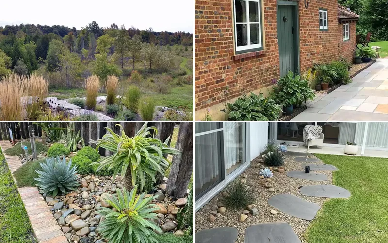 garden edging ideas featured