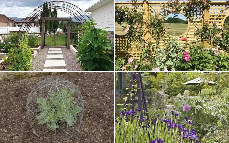 garden trellis ideas featured