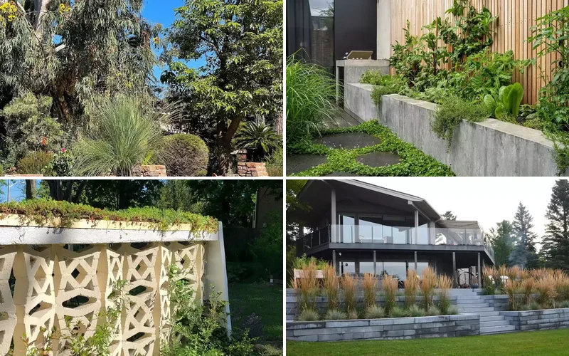 21 Stunning Garden Wall Designs That Will Transform Your Outdoor Space