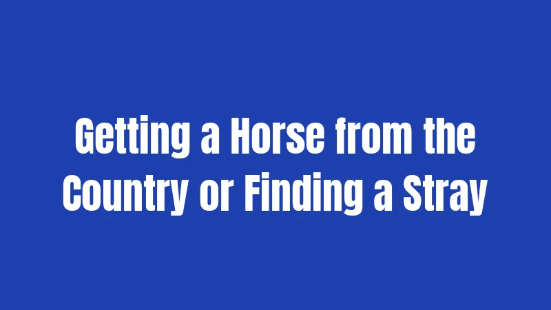 Getting a Horse from the Country or Finding a Stray