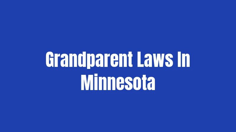 Grandparent Laws In Minnesota