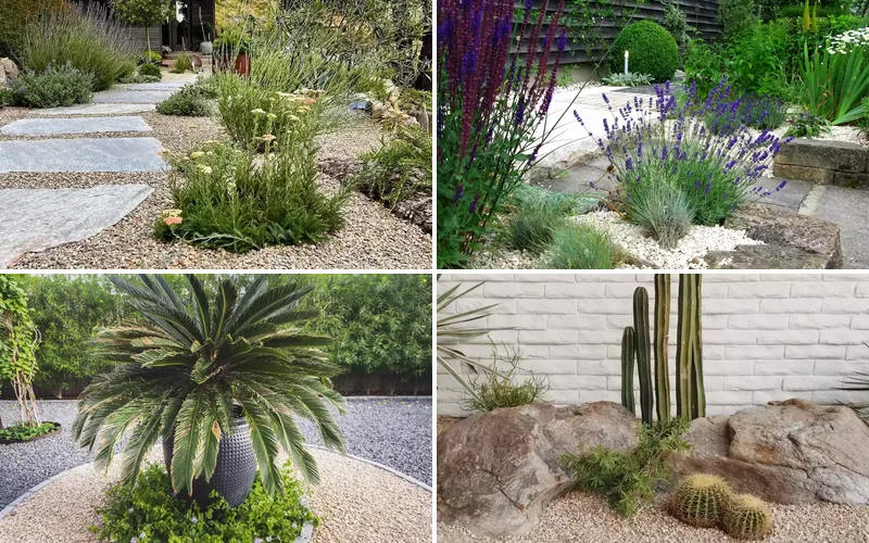 14 Creative Gravel Garden Ideas for a Beautiful Water-Smart Landscape