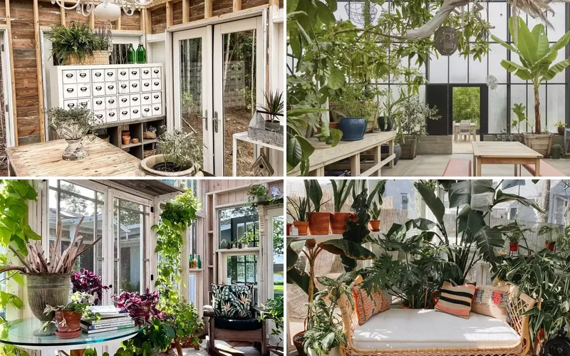 greenhouse ideas featured