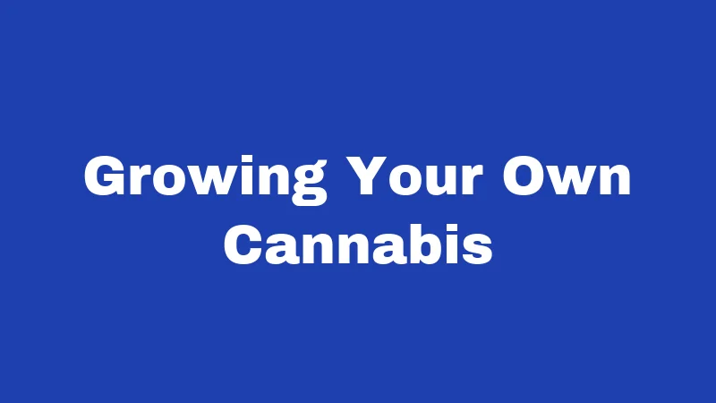 Cannabis Laws in New Mexico (2026): Limits, Fines, and Surprises 2 Growing Your Own Cannabis