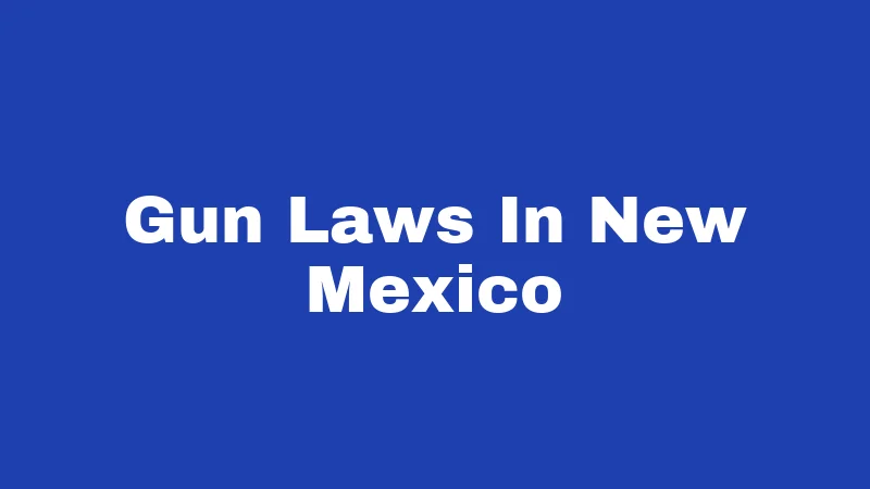 Gun Laws In New Mexico