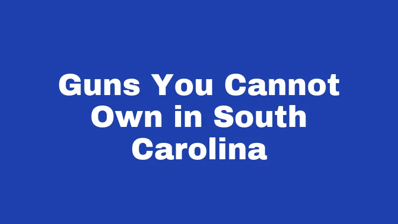 Gun Laws in South Carolina (2026): Big Changes You Must Know 4 Guns You Cannot Own in South Carolina
