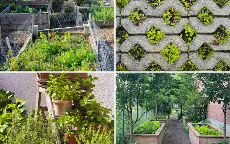 37 Creative Herb Garden Ideas to Transform Your Indoor and Outdoor Spaces