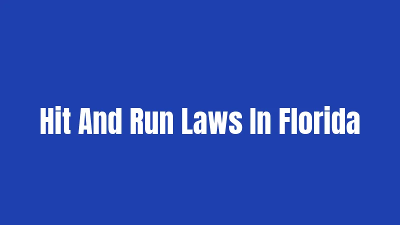 Hit And Run Laws In Florida