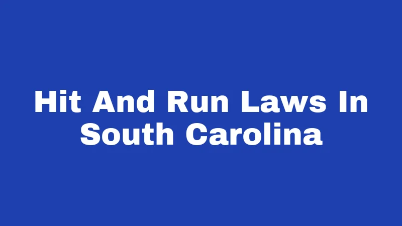 Hit and Run Laws in South Carolina (2026): Don't Drive Away From This 362 Hit And Run Laws In South Carolina
