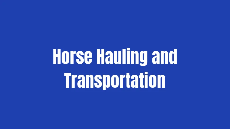 Horse Laws in Colorado (2026): Your No-Nonsense Survival Guide 3 Horse Hauling and Transportation