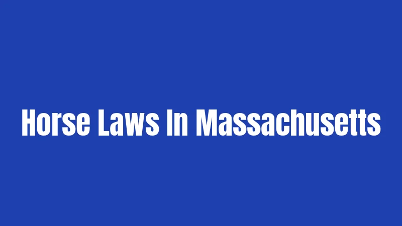 Horse Laws In Massachusetts
