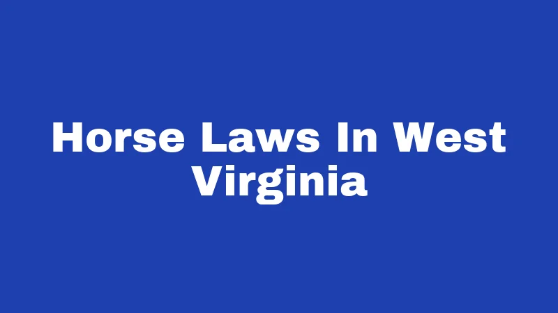 Horse Laws In West Virginia