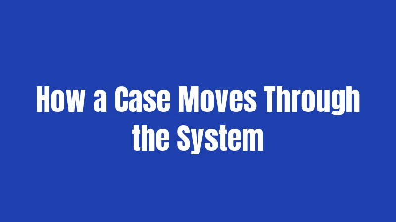 How a Case Moves Through the System