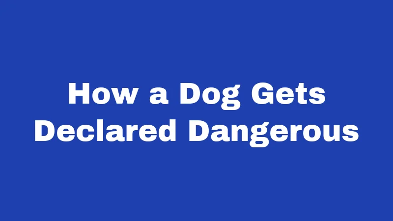 Dog Bite Laws in Alabama (2026): Your Rights After an Attack 3 How a Dog Gets Declared Dangerous