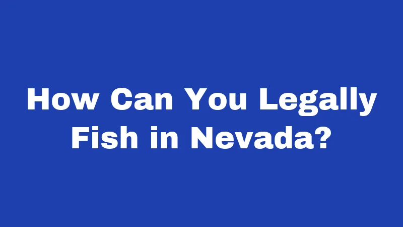 Fishing Laws in Nevada (2026): Rules Every Angler Must Know 3 How Can You Legally Fish in Nevada?