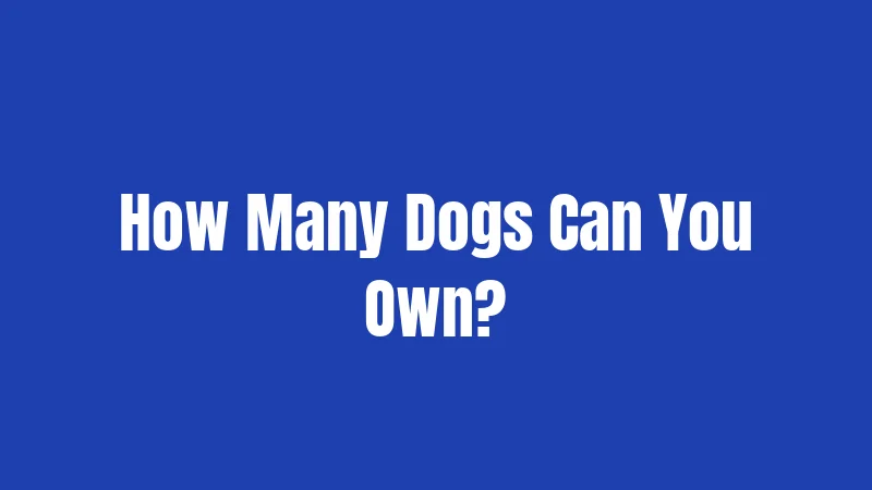 How Many Dogs Can You Own?