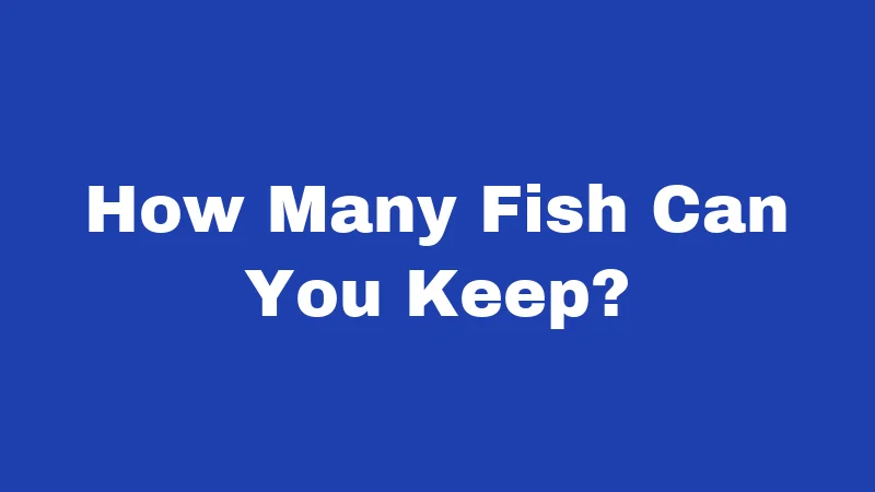 Fishing Laws in Kansas (2026): Rules Every Angler Must Know 3 How Many Fish Can You Keep?