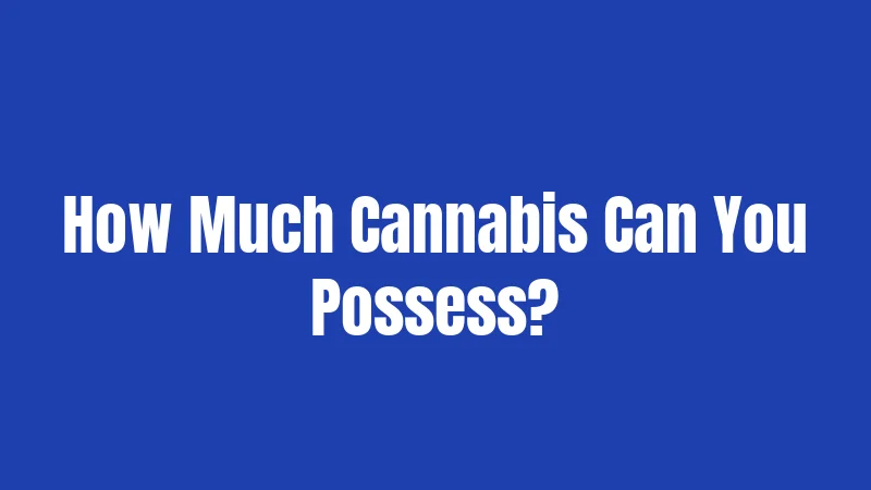 Cannabis Laws in Ohio (2026): Big Changes Are Here 2 How Much Cannabis Can You Possess?