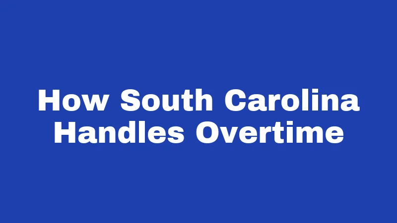 Overtime Laws in South Carolina (2026): Your Pay Rights Explained 1 How South Carolina Handles Overtime