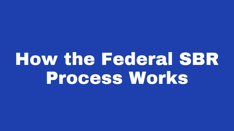 SBR Laws in Nebraska (2026): The Surprising Federal Tax Change 2 How the Federal SBR Process Works