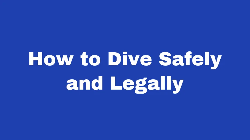 Dumpster Diving Laws in New Mexico (2026): Trash, Trespass, and Your Rights 4 How to Dive Safely and Legally