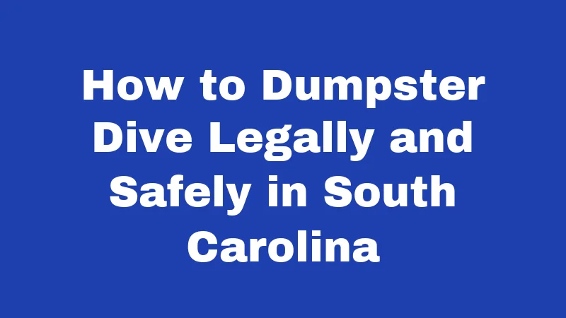 How to Dumpster Dive Legally and Safely in South Carolina
