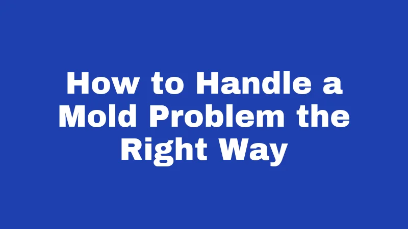 Mold Laws in Nebraska (2026): What Renters Often Learn Too Late 3 How to Handle a Mold Problem the Right Way